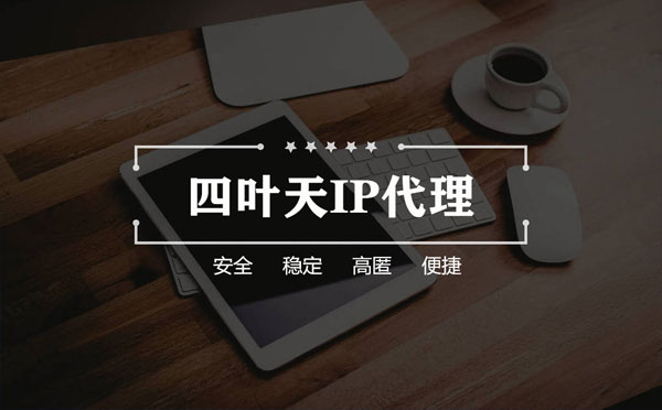 【潜江代理IP】如何快速搭建代理IP？怎么检查代理的效果？